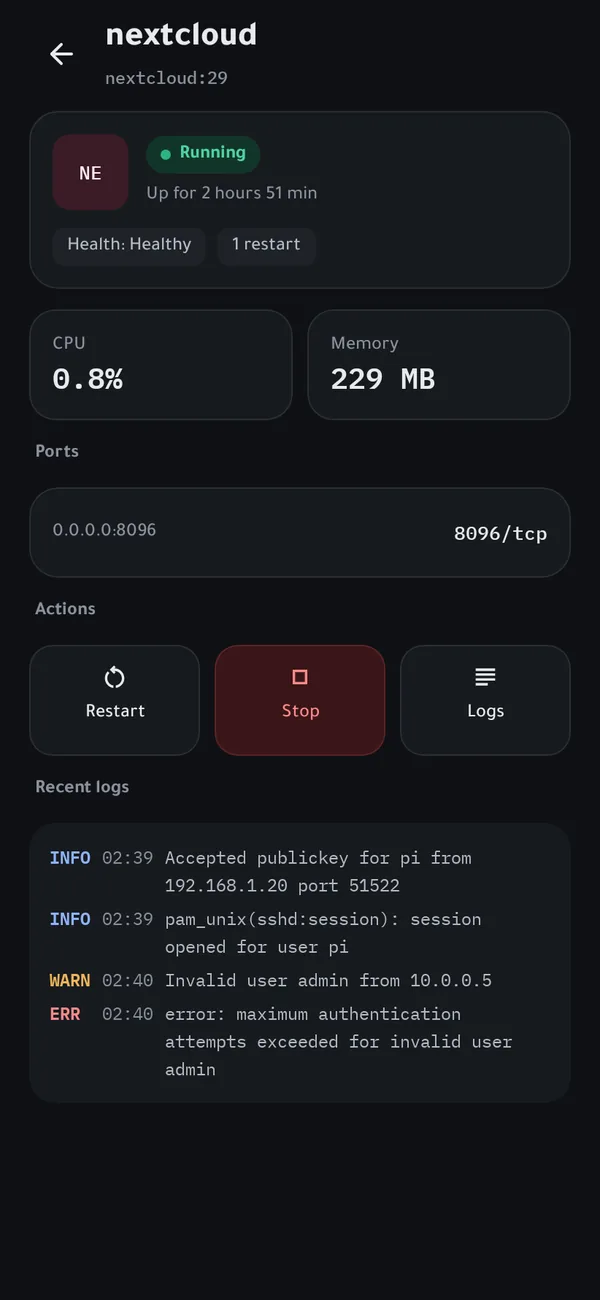 A container's details with resources and logs