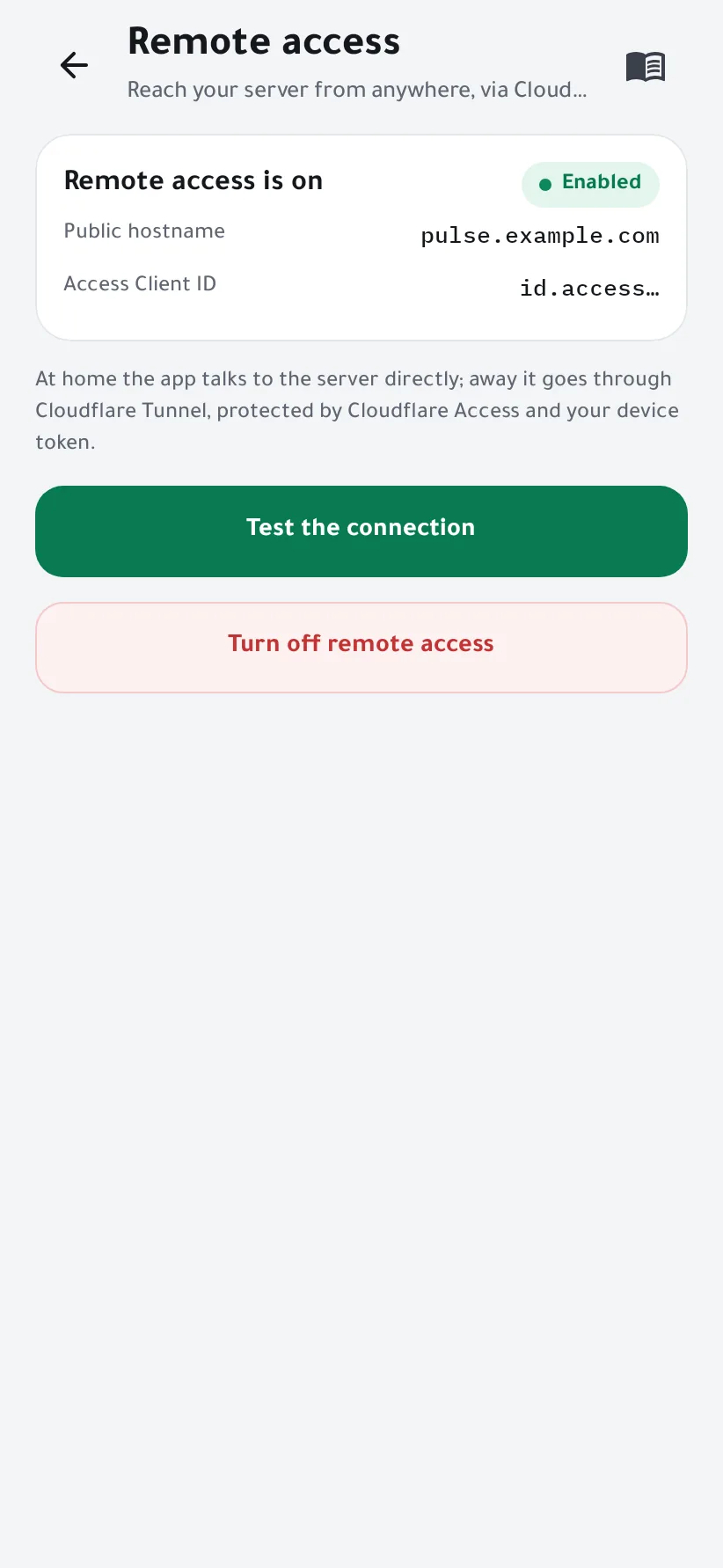 Remote access is on, with the public hostname and the test button